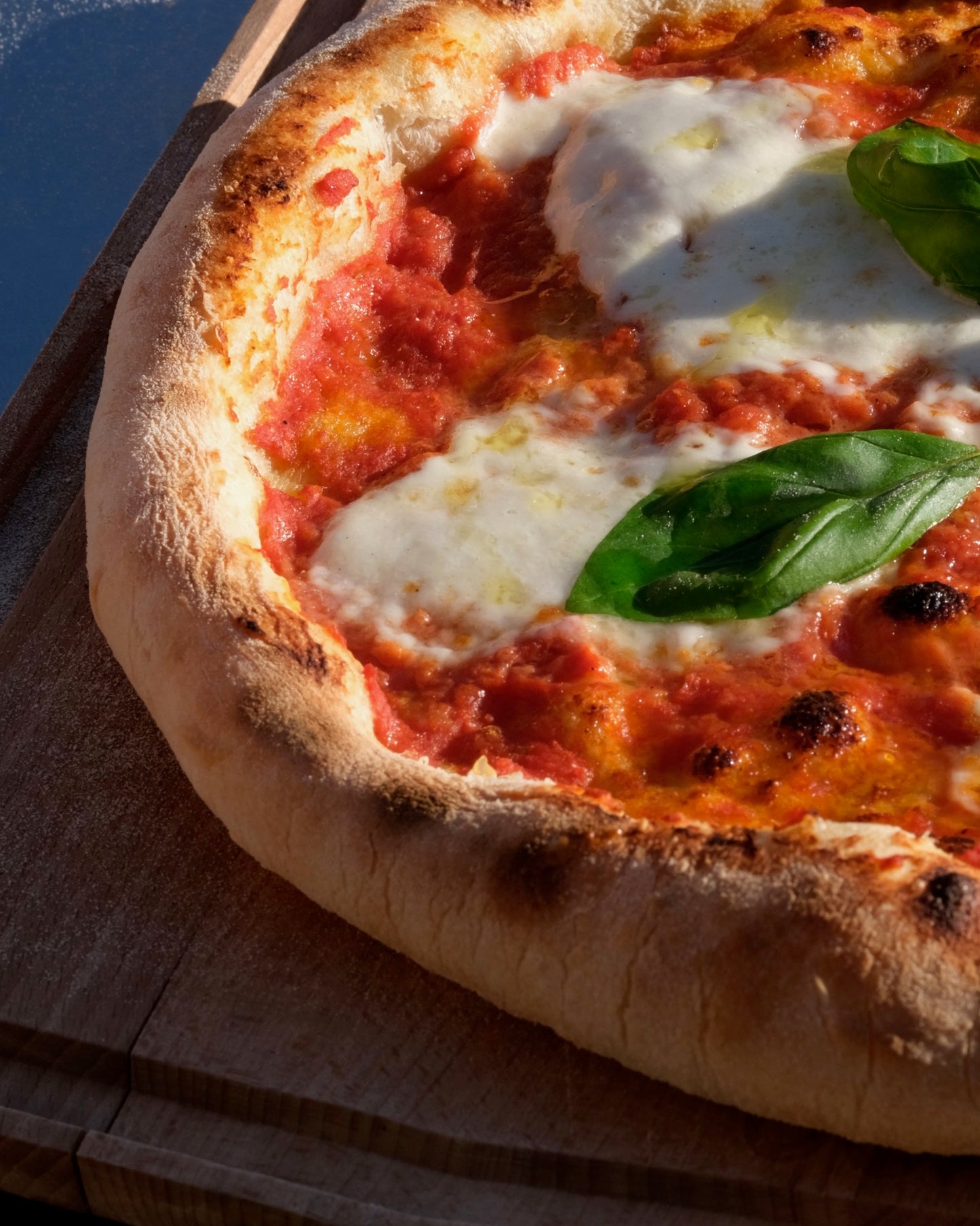 Pizzabol Pizza Deegballen (10x)