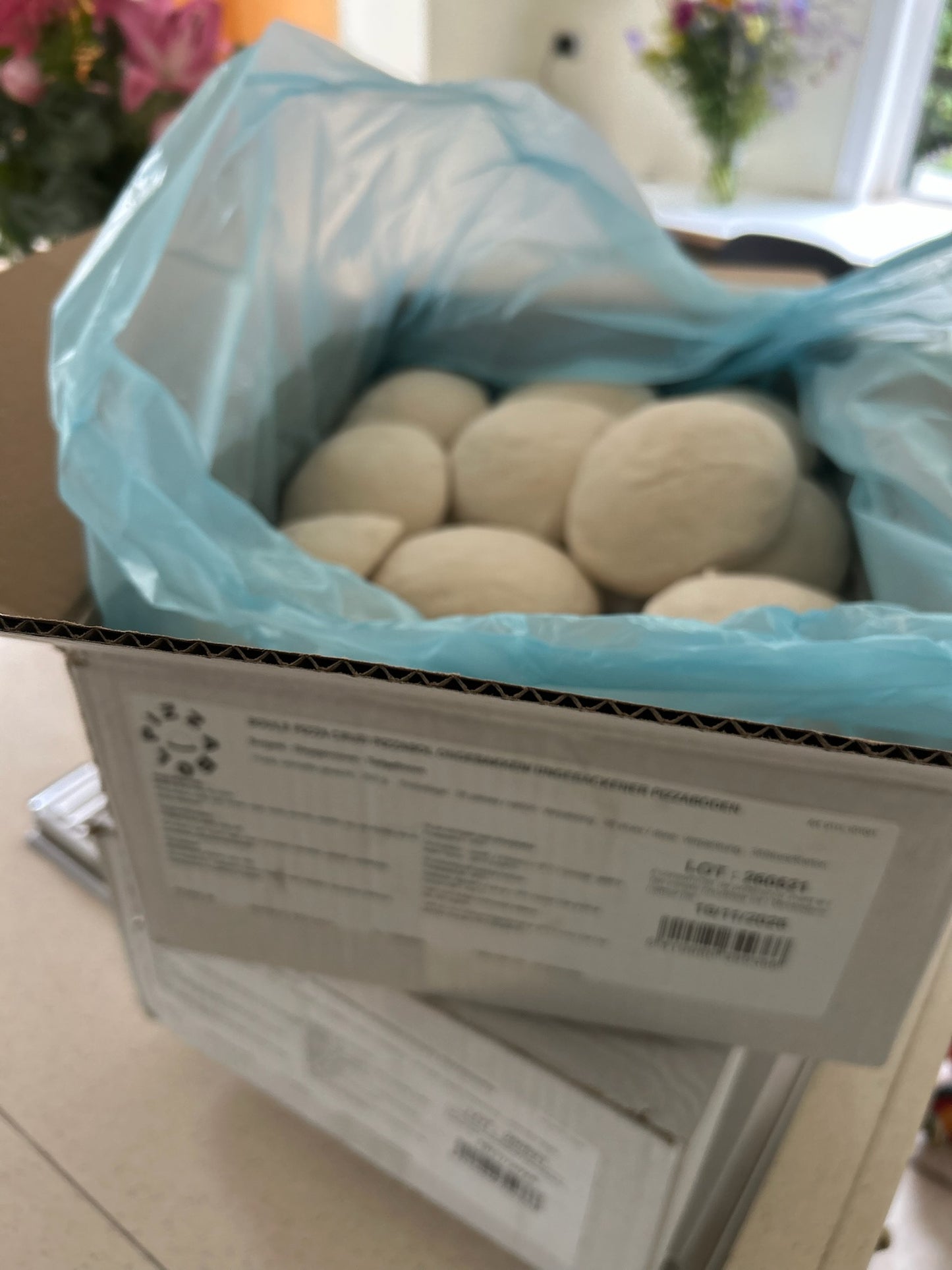 Pizzabol Pro Deegballen (36x) - Testdoos